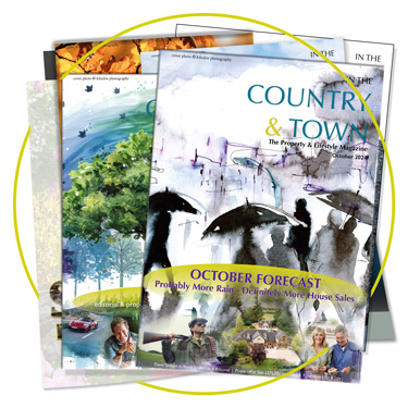 In The Country and Town Magazine Icon